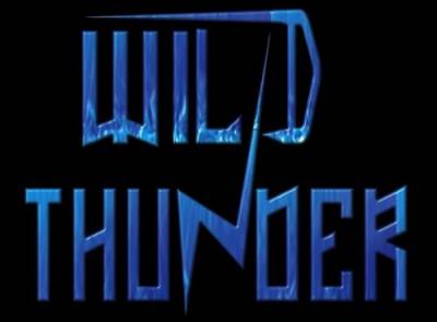 logo Wild Thunder